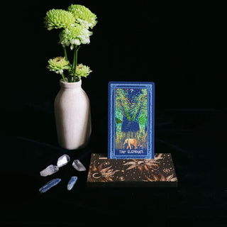 Moonflowers Wooden Cardholder (Single Card) Cardholder James R. Eads 