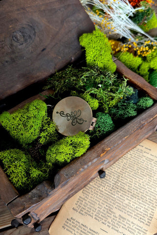 The Compass of Many Paths - The Magic Compass Prisma Visions Periodical James R. Eads fine art prints and Prisma Visions tarot cards