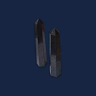 Shungite Point Crystal Prisma Visions Shop 